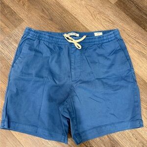 PacSun Blue Men's Shorts